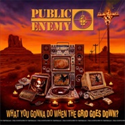 Public Enemy - What You Gonna Do When the Grid Goes Down?