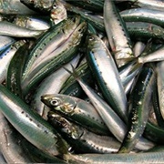 Sardine