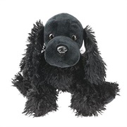 Black Cocker Spaniel