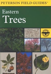 Peterson Field Guides Eastern Trees (George A. Petrides &amp; Janet Wehr)