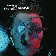 The Wildhearts - Earth vs. the Wildhearts