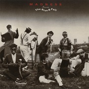 Madness- Mr. Speaker