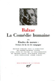 Le Curé De Village (Balzac)