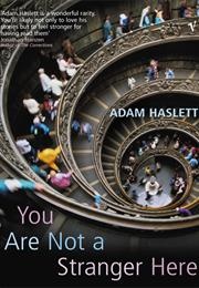 You Are Not a Stranger Here (Adam Haslett)