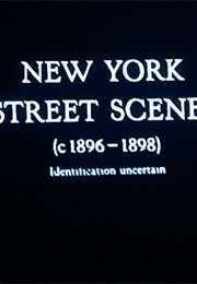 New York Street Scenes 1896-1898 (1896)