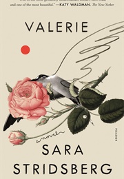 Valerie; Or, the Faculty of Dreams (Sara Stridsberg)