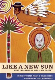 Like a New Sun: New Indigenous Poetry (Víctor Terán &amp; David Shook (Edit.))