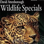 David Attenborough Wildlife Specials