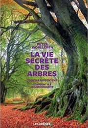 La Vie Secrète Des Arbres (Peter Wohlleben)