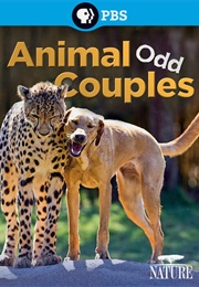 Nature: Animal Odd Couples (2013)