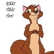 Rikki Tikki Tavi