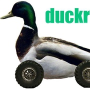 Duckroll