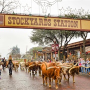 Forth Worth Stockyard &amp; Historical District