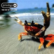 The Prodigy- Diesel Power