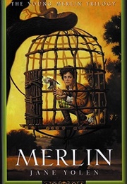 Merlin (Jane Yolen)