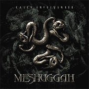 Catch Thirtythree (Meshuggah, 2005)