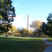 The Washington Monument