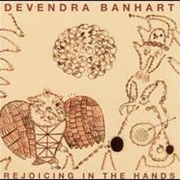 Devendra Banhart - Will Is My Friend