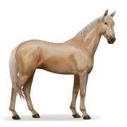 Palomino