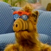 Alf