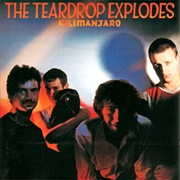 The Teardrop Explodes- Reward