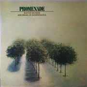 Promenade- Kevin Burke &amp; Michael O Domhnaill