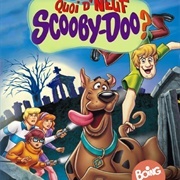 Quoi De Neuf Scooby-Doo ? (2002)