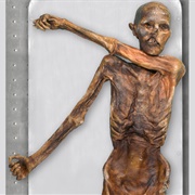 Otzi the Iceman