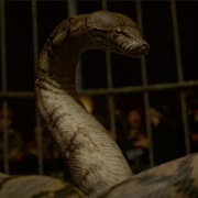 Nagini