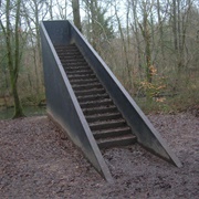 Stairs in the Woods