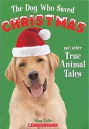 The Dog Who Saved Christmas and Other True Animal Tales (Allan Zullo)