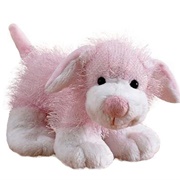 Pink &amp; White Dog