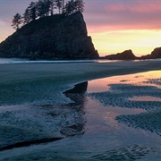 La Push, Washington