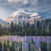 Mount Robson, British Columbia, Canada