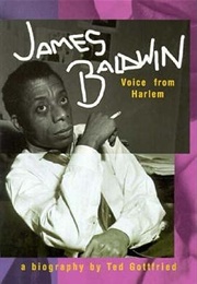 James Baldwin: Voice From Harlem (Ted Gottfried)