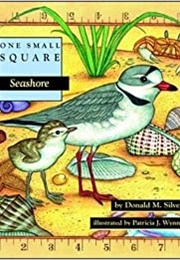 One Small Square Seashore (Silver)