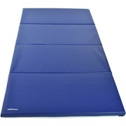 Blue Gym Mats