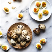 Quail Eggs