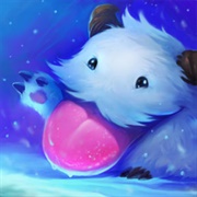 Solo Poro