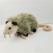 Opossum