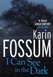 I Can See in the Dark (Karin Fossum)