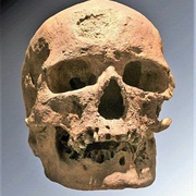 Cro-Magnon Man First Identified 1868