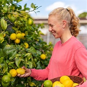 Share Produce With Neighbours