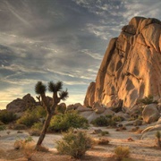 Joshua Tree National Park, USA