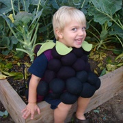 Blackberry Costume