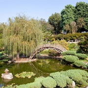 Huntington Library, Art Collections &amp; Botanical Gardens, LA, USA