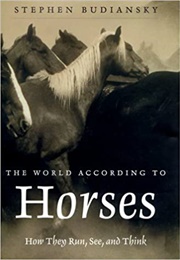 The World According to Horses (Stephen Budiansky)