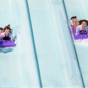 Toboggan Racers