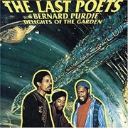 The Last Poets Delights of the Garden