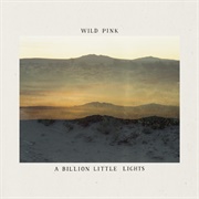 A Billion Little Lights (Wild Pink, 2021)